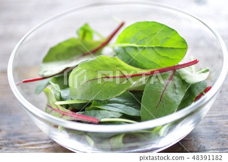 Green baby leaf mixed salad 48391182