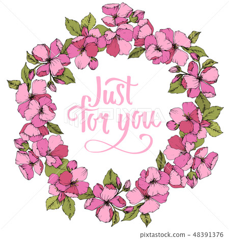 Vector Pink Apple blossom floral botanical flower. Engraved ink art. Frame border ornament square on 48391376