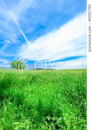 Refreshing highland landscape Refreshing highland landscape 48391705