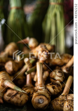 Galangal roots Galangal roots 48392232