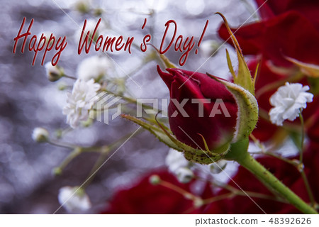 Greeting card with red rose bud for Womens Day 48392626