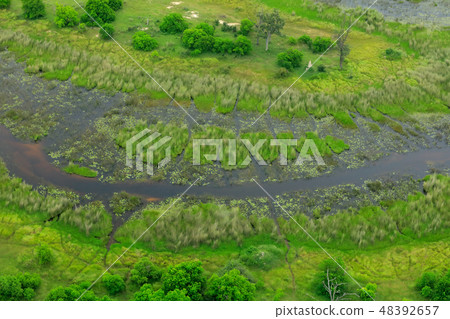 Aerial landscape in Okavango delta, Botswana 48392657