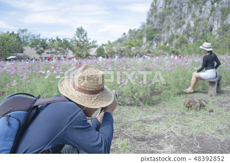 Cosmos flower field Cosmos flower field 48392852