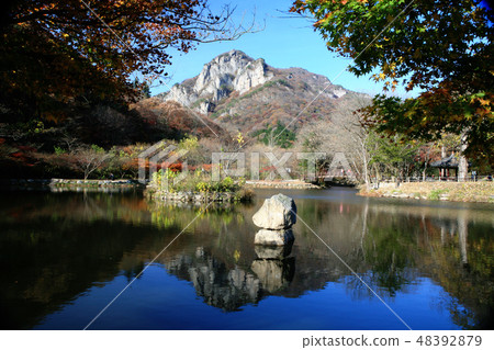 Baekam山的秋天 Baekam山的秋天 48392879