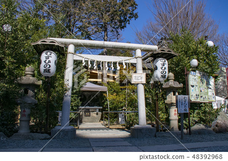 Kawagoe Kumano Shrine Musubi花園 Kawagoe Kumano Shrine Musubi花園 48392968