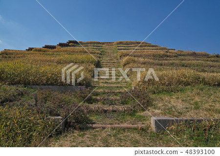 [Toto] 2143 Totocho, Naka-ku, Sakai City, Osaka Prefecture 48393100