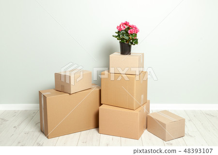 Moving Day. Cardboard boxes and pot with plants against gray wall Moving Day. Cardboard boxes and pot with plants against gray wall 48393107