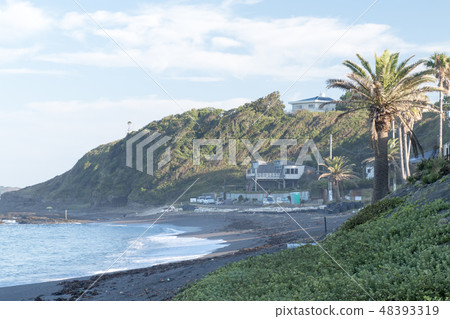 Mito beach Mito beach 48393319