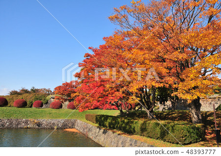  Goryokaku Park 48393777