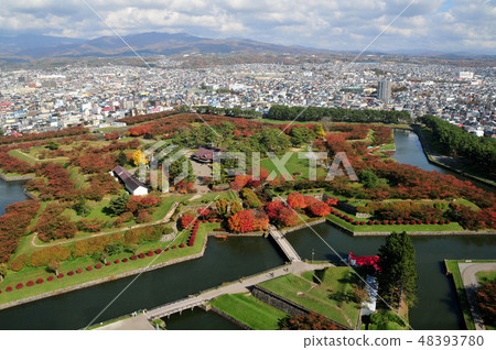  Goryokaku Park 48393780
