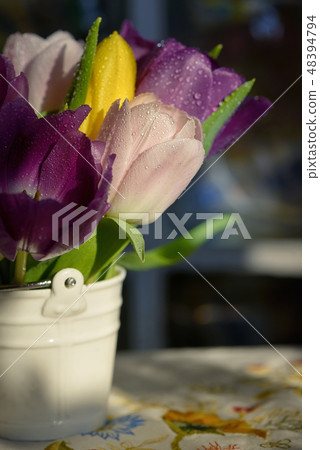 Bouquet of tulips with dew drops 48394794