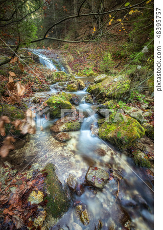 Waterfall in a forest of The Mala Fatra. 48395757