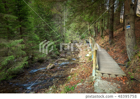A wooden footbridge over a stream in a forest. 48395758