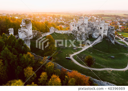 medieval castle ruins located in Ogrodzieniec, Poland 48396989
