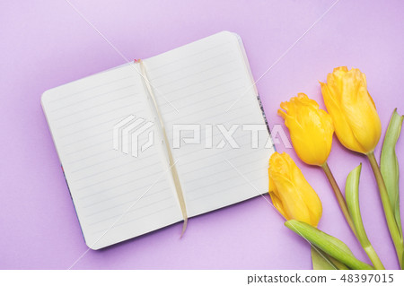 Overhead view of a bouquet of tulips and notebook. 48397015