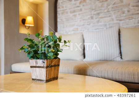 plant bucket decorated on table 48397261