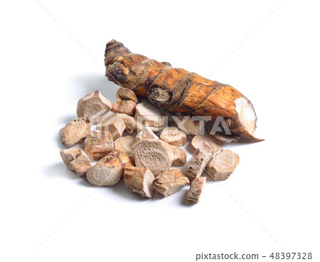 Root of Acorus calamus, also called sweet flag Root of Acorus calamus, also called sweet flag 48397328