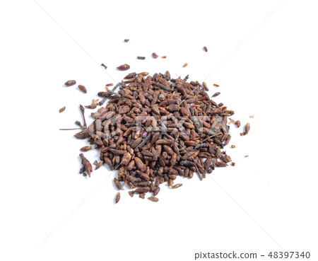 Buds of Birch or betula 48397340