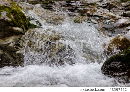 Moss and water Moss and water 48397532