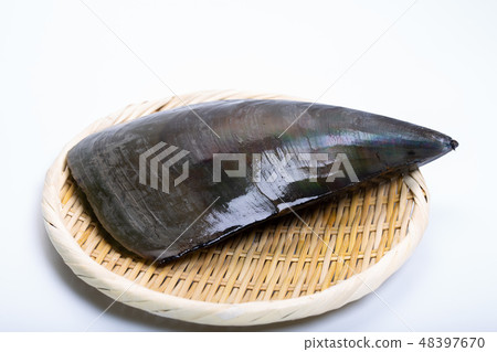Tairagi flat shell Tairagi flat shell 48397670
