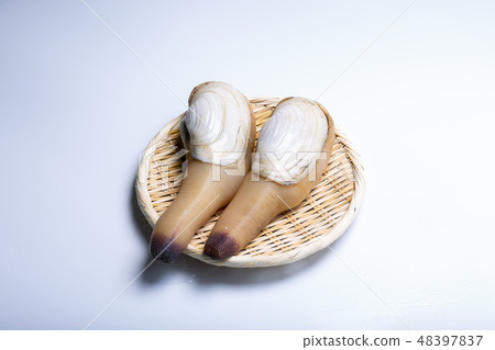 White mill 48397837