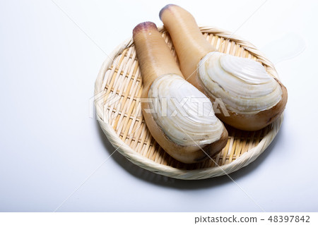 白磨坊 白磨坊 48397842