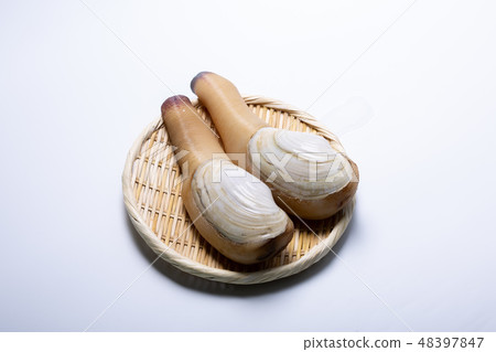 White mill 48397847