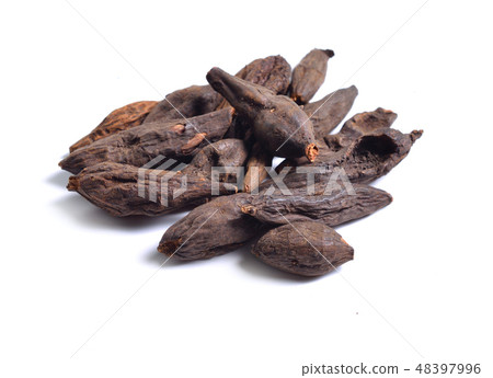 Root of Filipendula Root of Filipendula 48397996