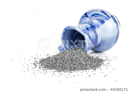 Czech blue poppy seeds isolated on white 48398171