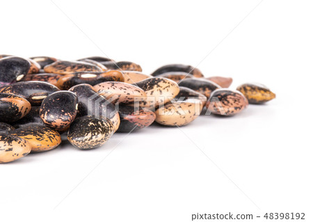 Speckled colored butter beans isolated on white 48398192