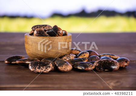 Speckled colored butter beans with field behind Speckled colored butter beans with field behind 48398211