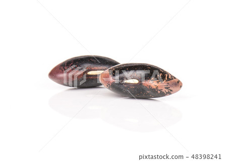 Speckled colored butter beans isolated on white Speckled colored butter beans isolated on white 48398241