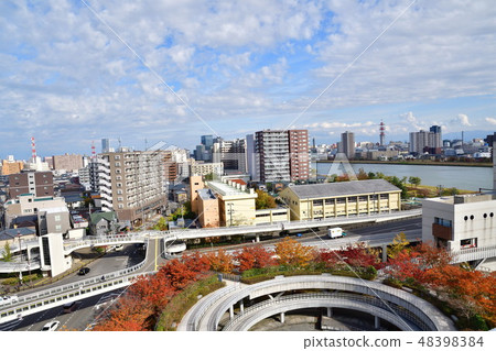 View of Niigata city from Ryu pia (Niigata Prefecture) 48398384