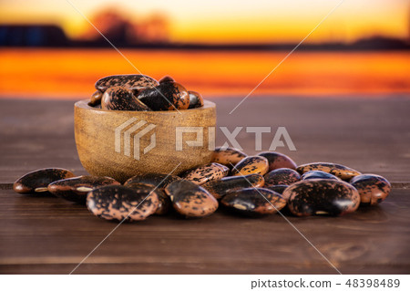 Speckled colored butter beans autumn field behind 48398489