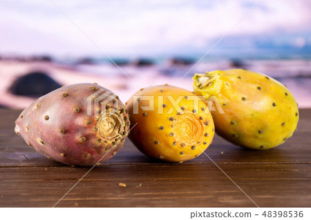 prickly pear opuntia with desert in background prickly pear opuntia with desert in background 48398536