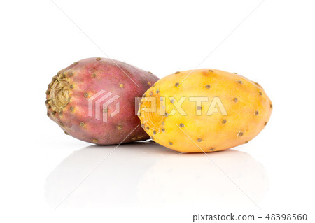 Fresh bright prickly pear opuntia isolated white Fresh bright prickly pear opuntia isolated white 48398560