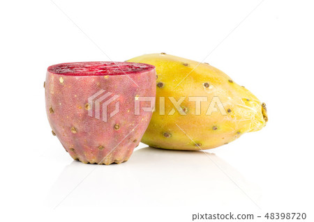 Fresh bright prickly pear opuntia isolated white Fresh bright prickly pear opuntia isolated white 48398720
