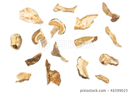 Dry brown mushroom boletus edulis isolated white 48399025