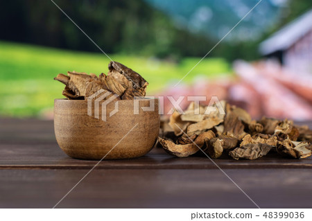 brown mushroom boletus edulis with country nature brown mushroom boletus edulis with country nature 48399036