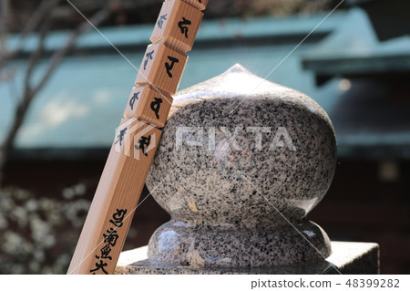 Pilgrimage Pilgrimage 48399282