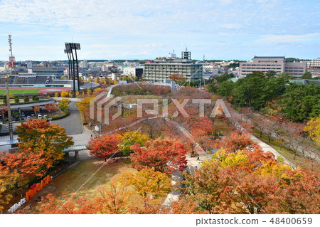 Ryu piah空氣花園(新潟)的秋葉 Ryu piah空氣花園(新潟)的秋葉 48400659