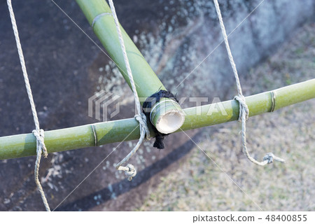 Work of snow hanging (bee and butchi) 48400855