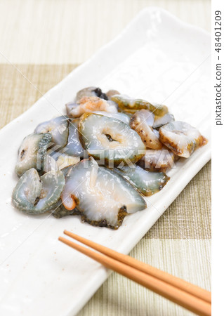 Delicious sea cucumber 48401209