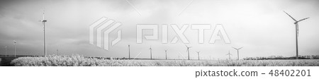 many windmills rotating during windy spring day  48402201