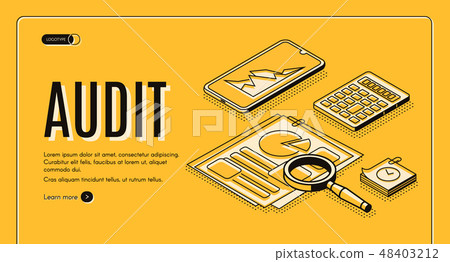Business audit company isometric vector website 48403212