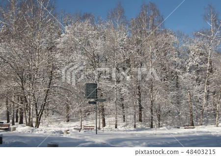 Winter landscape with a park 48403215