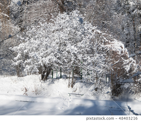 Winter landscape with a park 48403216