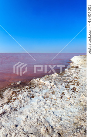 Pink salty Syvash Lake, Ukraine 48404003