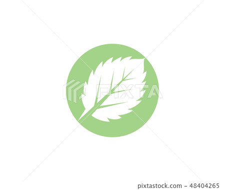 Mint leaves flat vector icon design Mint leaves flat vector icon design 48404265