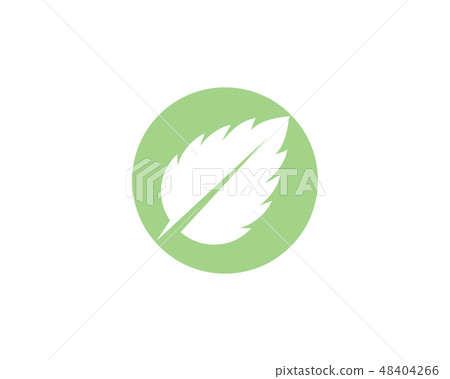 Mint leaves flat vector icon design 48404266